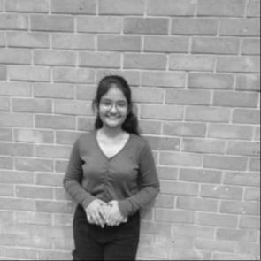 Komal Raje Wordpress Intern modified