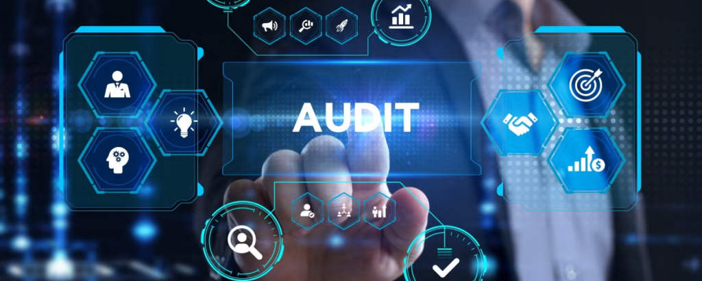 AI in Web Audits