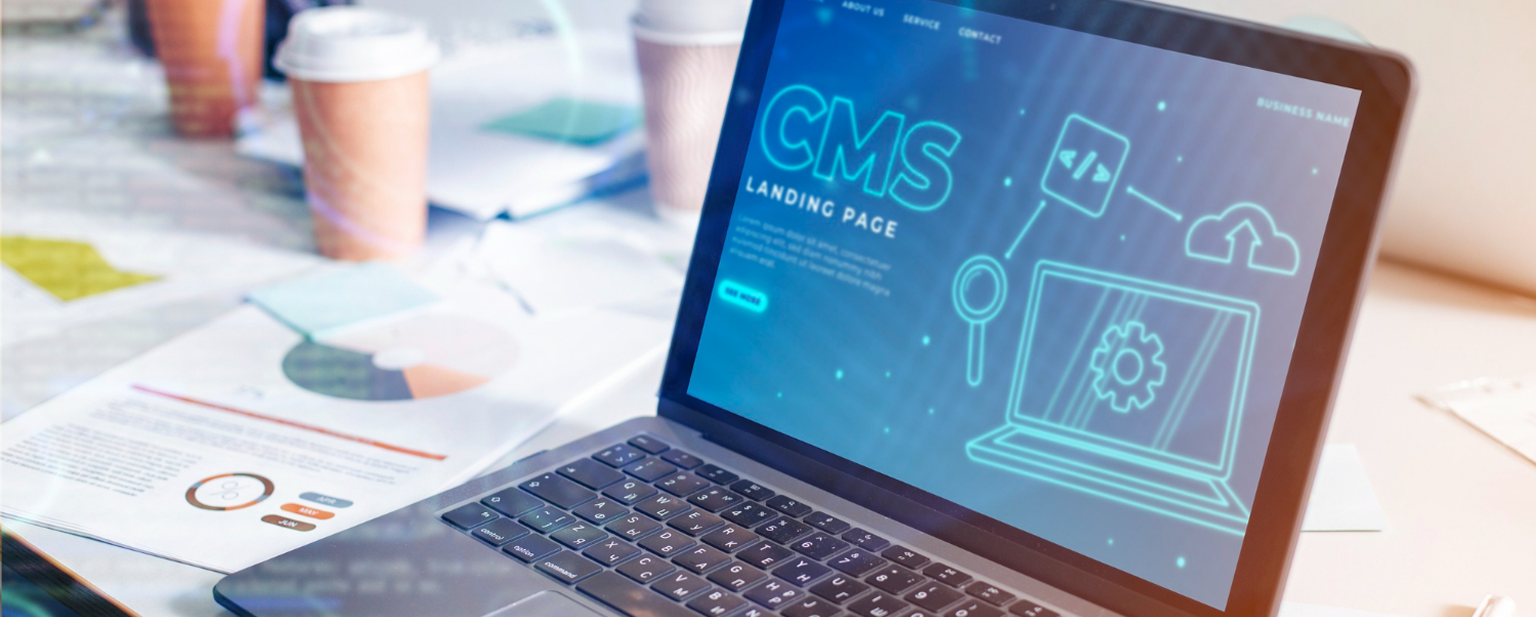 Exploring Sanity Web Development and the Future of Headless CMS 1 Sanity Web Development